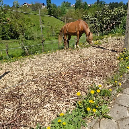 Mirna Zelena Dolina Ferienhaus Sentilj